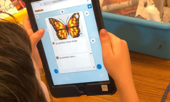 Writing About Life Cycles with WriteReader